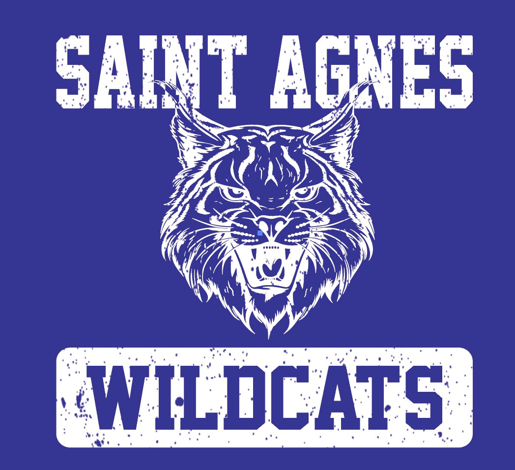 STA Wildcat Distressed Hoodie