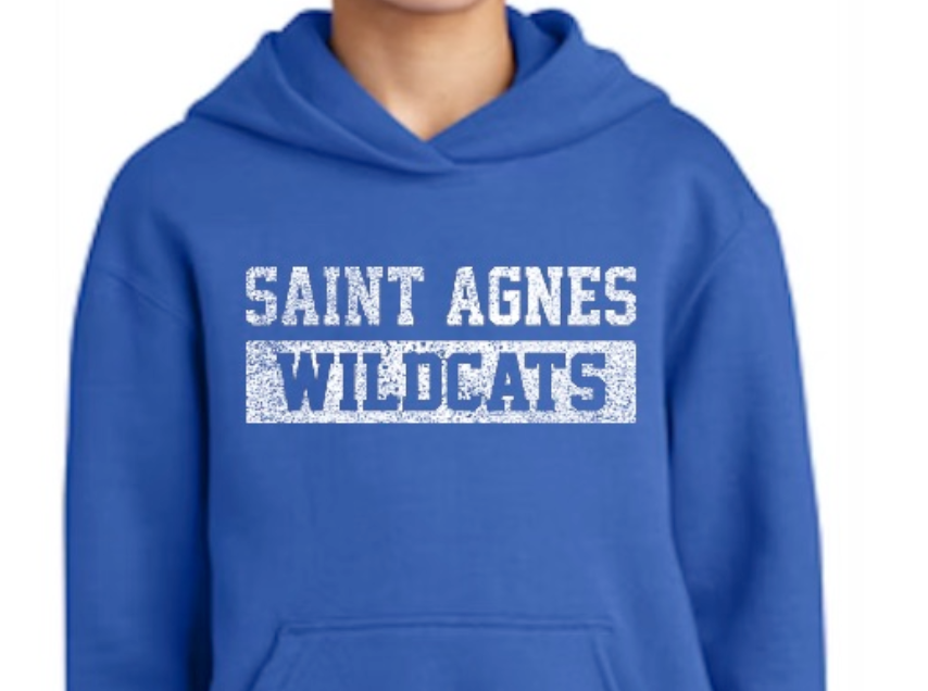 STA Distressed Hoodie